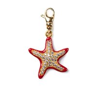 Charm Isola Bella Donna in Argento 20000826 - 20000826